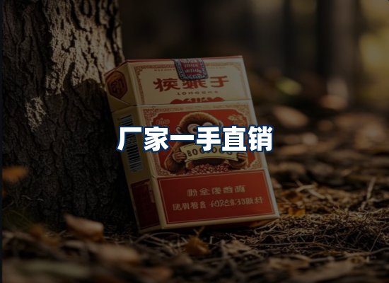 专业团队办公环境